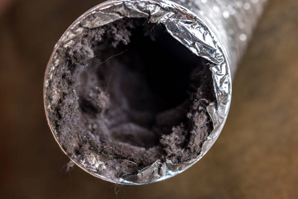Best Air Duct Cleaning Near Me  in Annapolis, MD