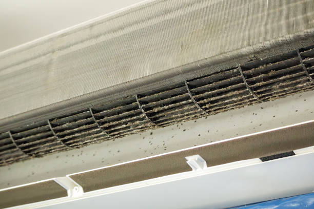 Best Ventilation Cleaning Services  in Annapolis, MD